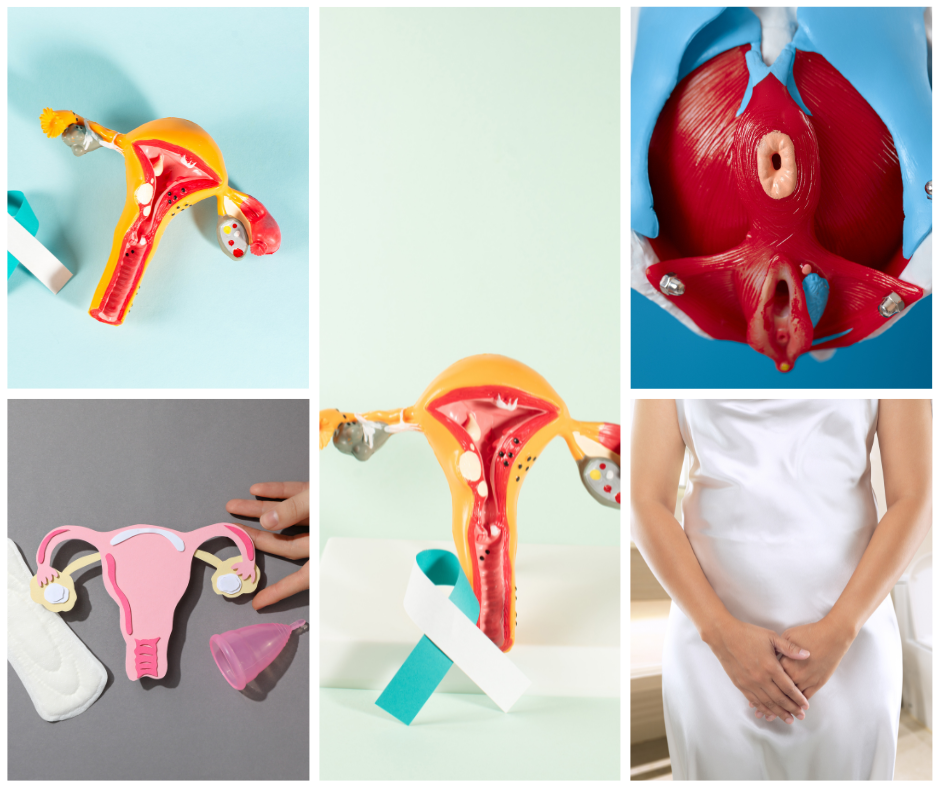 Ayurvedic treatment for chronic cervicitis in Dubai for natural healing of cervical inflammation